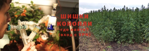 MESCALINE Сясьстрой