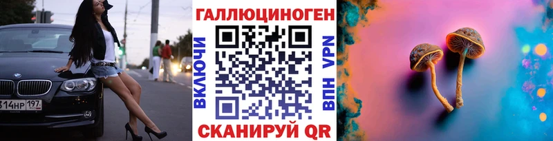где найти наркотики  Каспийск  Псилоцибиновые грибы GOLDEN TEACHER 