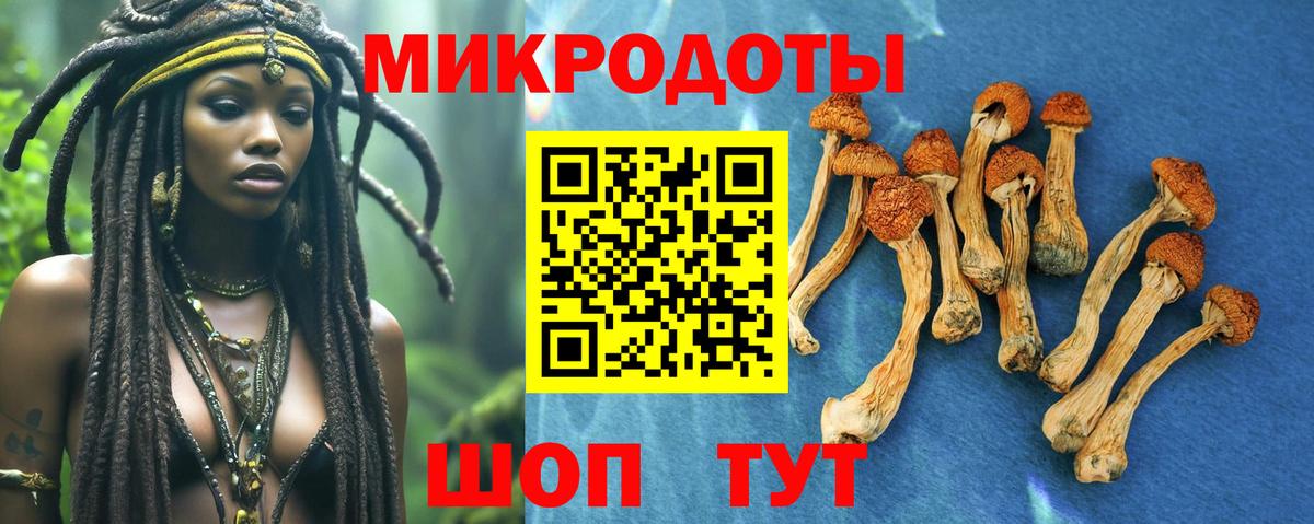Псилоцибиновые грибы GOLDEN TEACHER Каспийск