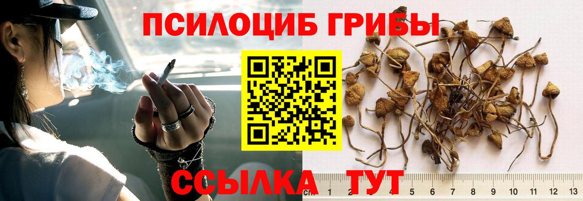 сколько стоит  Вход с VPN  Псилоцибиновые грибы мицелий  Каспийск  Псилоцибиновые грибы мицелий 