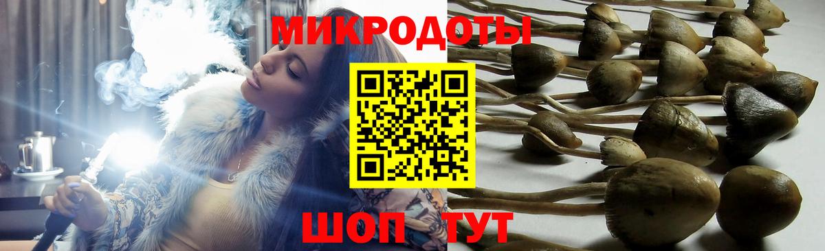 Галлюциногенные грибы ЛСД  где купить наркоту  Каспийск 