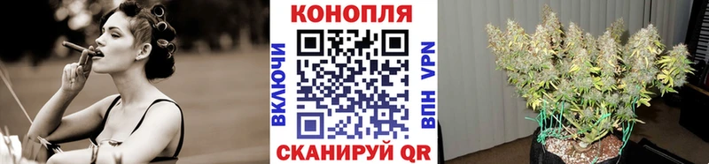 магазин продажи   дарк нет как зайти  Бошки марихуана планчик  Каспийск 